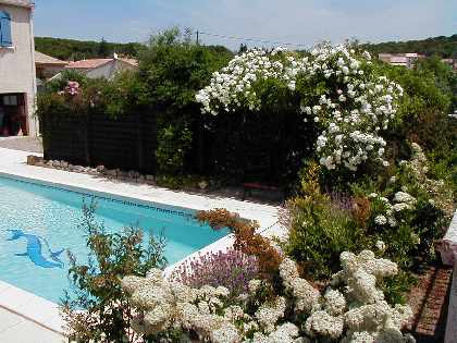 Mature garden